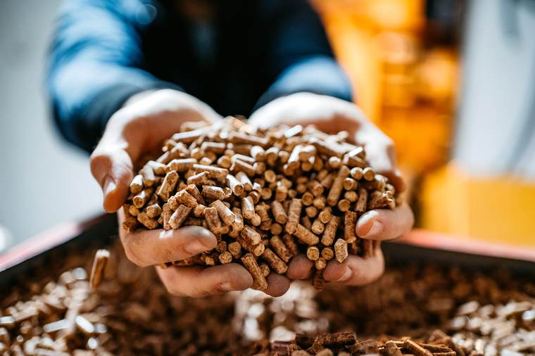 Pellets tenus dans des mains
